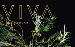 Revista Viva Magazine 2 edição